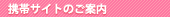 ���o�C���T�C�g�̂��ē�